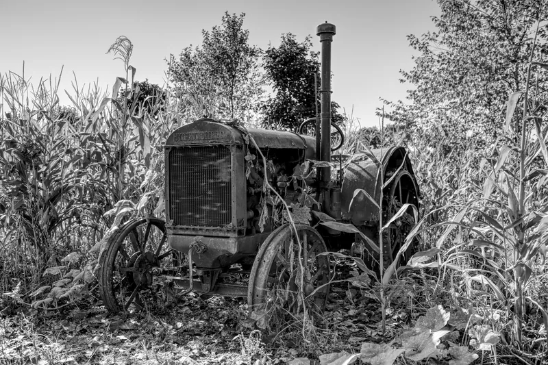 Siegel's Cottonwood Farm