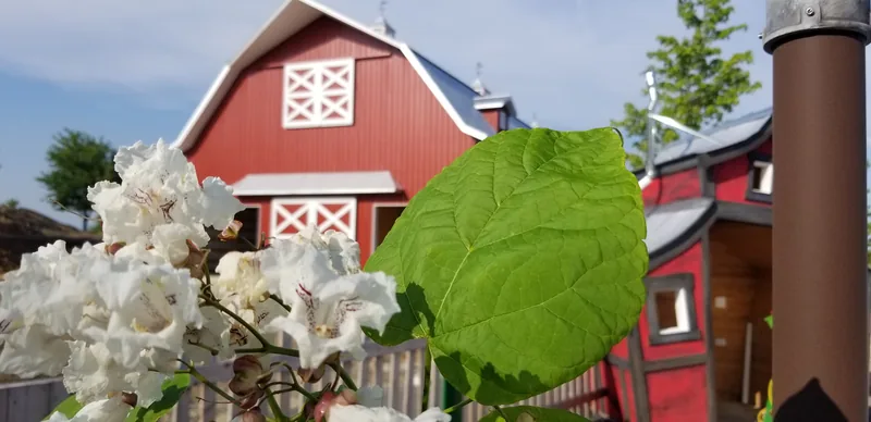Sonny Acres Farm